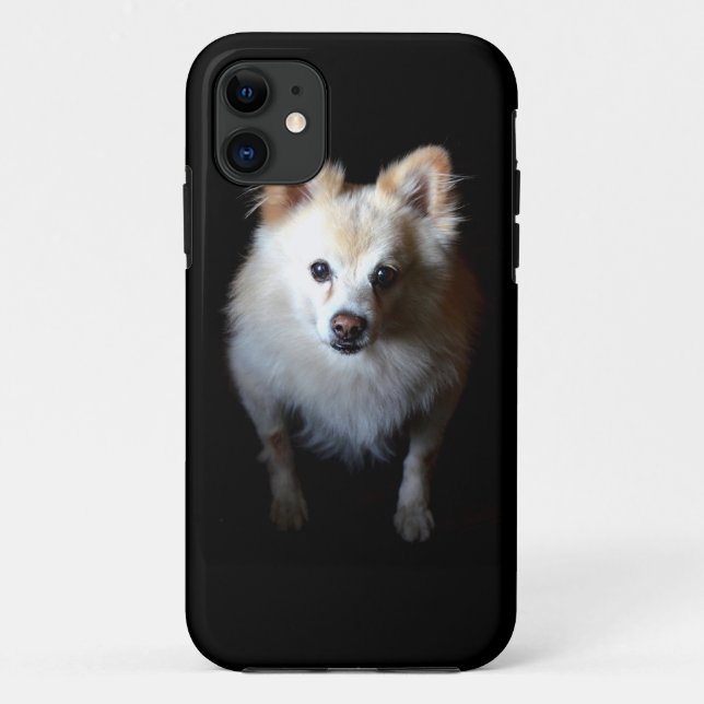 Funda De Case-Mate Para iPhone Perro panomerano en la oscuridad (Reverso)