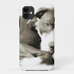 Funda Para iPhone 11 perro pit bull lindo dormilón y perezoso