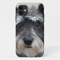 Perro Schnauzer