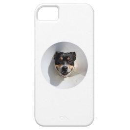 Funda Para iPhone 11 Perro sonriente gracioso