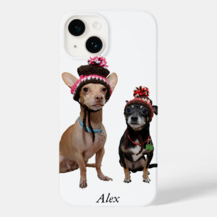 title_seo2 perros chihuahua en gorras de invierno con pompas