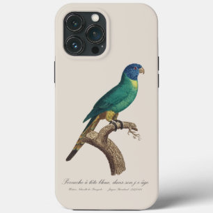 Funda Para iPhone 13 Pro Max Perruche a tete bleue / Lorikeet arcoiris, juvenil