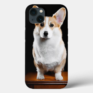Funda Para iPhone 13 Personalizado Añadir su foto Mascota