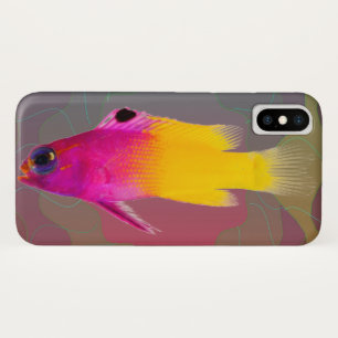 title_seo2 Pescado