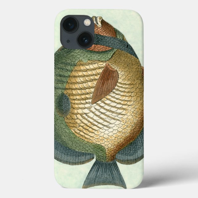 Funda De Case-Mate Para iPhone Pescado colorido grande (Reverso)