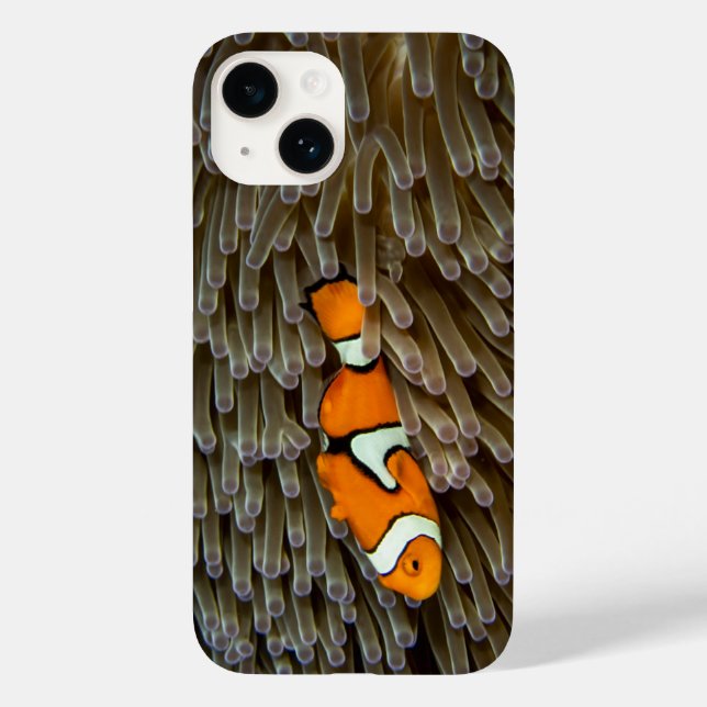 Funda De Case-Mate Para iPhone Pescado, coral, subacuático (Reverso )