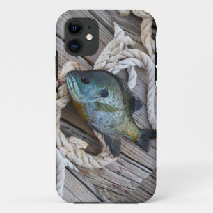 Funda Para iPhone 11 Pescado de aleta azul en el muelle y en la cuerda