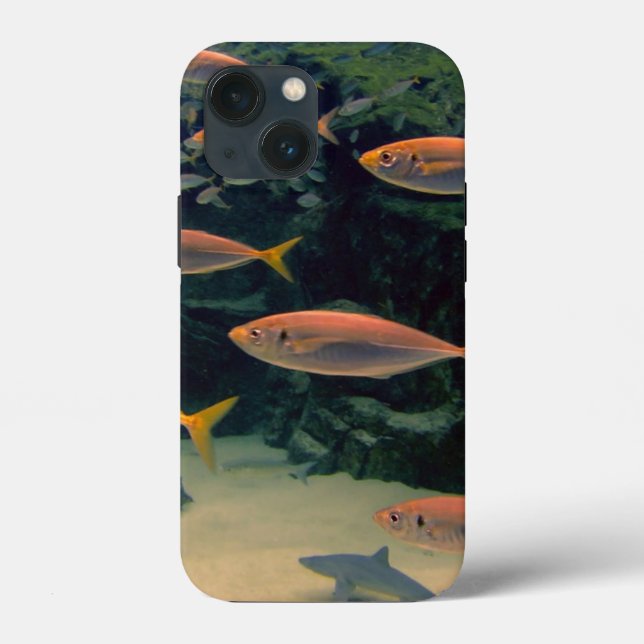 Funda De Case-Mate Para iPhone Pescado Rosado Shoal  (Reverso )