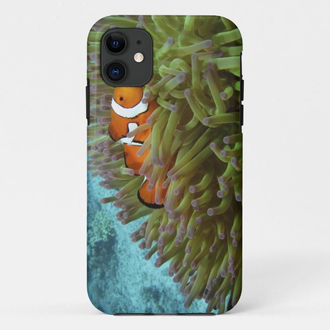 Funda De Case-Mate Para iPhone Pez payaso occidental ( Amphiprion ocellaris ) (Reverso)