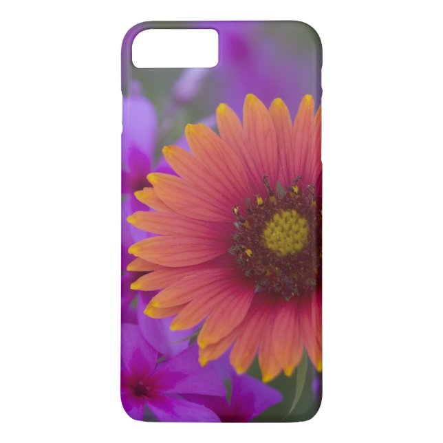 Funda De Case-Mate Para iPhone Phlox y manta india cerca de Devine Texas (Reverso)