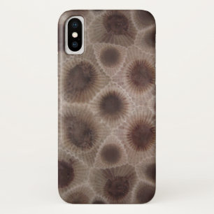 Funda Para iPhone X Piedra michigan del estado de Petoskey