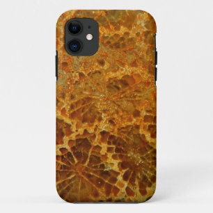 Funda Para iPhone 11 Piedra preciosa natural coralina fosilizada del