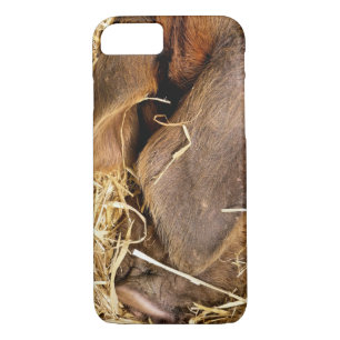 FUNDA PARA iPhone 8/7 PIGS