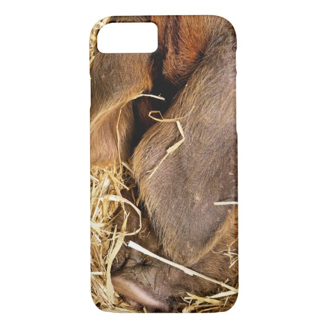 FUNDA DE Case-Mate PARA iPhone PIGS (Reverso)