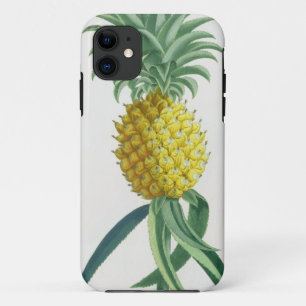 Funda Para iPhone 11 Piña grabada por Juan Jacobo Haid (1704-67)