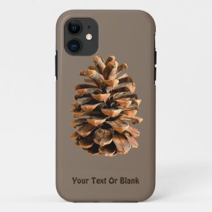 title_seo2 Pine Cone