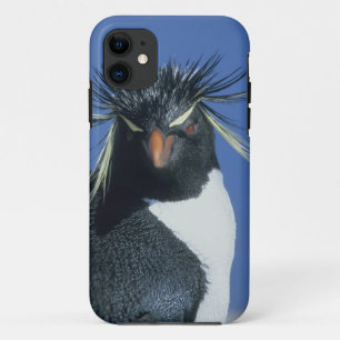 Funda Para iPhone 11 Pingüino de cresta roja (Eudyptes chrysocome)