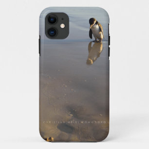 title_seo2 Pingüino en la playa