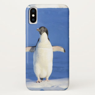 Funda Para iPhone X Pingüino gracioso en foto de hielo