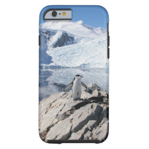 Funda Resistente Para iPhone 6 Pingüinos de Chinstrap en la Antártida