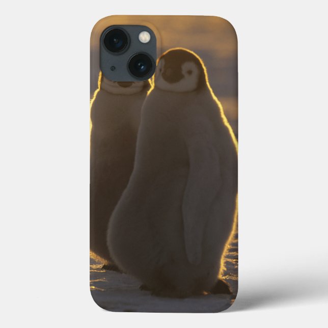 Funda De Case-Mate Para iPhone Pingüinos emperadores (Reverso)