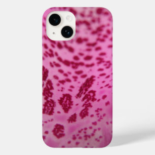 title_seo2 Pink Foxglove Petal