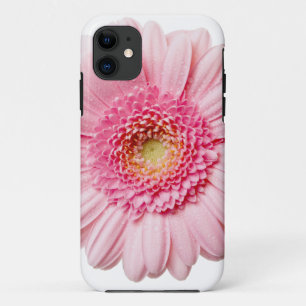 Funda Para iPhone 11 Pink Gerbera Daisy