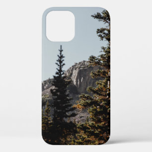 FUNDA PARA iPhone 12 PINOS VERDES CERCA DE LA MONTAÑA DURANTE EL DÍA