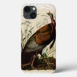 title_seo2 Pintado de aves salvajes Audubon en Turquía