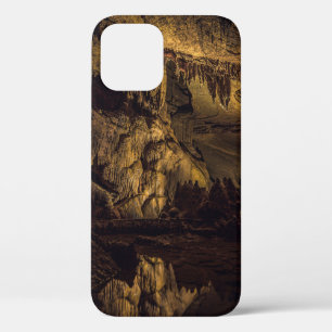 FUNDA PARA iPhone 12 PINTURA DE CUBIERTAS MARRÓN Y NEGRO