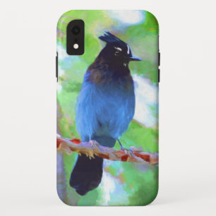 Funda Para iPhone XR Pintura de Jay de Steller - Arte de pájaro origina