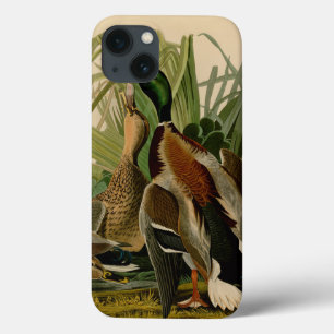 Funda Para iPhone 13 Pintura de pájaro de Mallard Duck Audubon