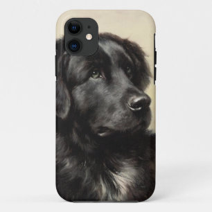 Funda Para iPhone 11 Pintura realista vintage de perro de Terranova