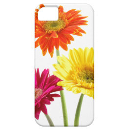 Funda Para iPhone 11 Placer de la margarita del Gerbera