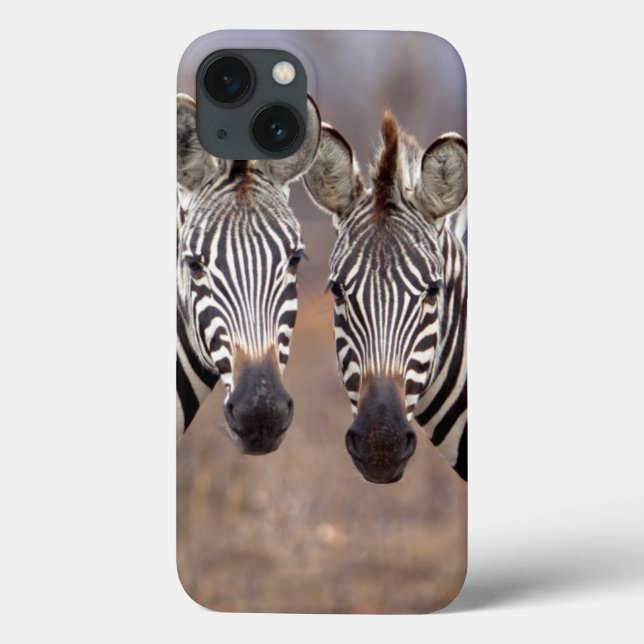 Funda De Case-Mate Para iPhone Plain Zebras, Parque Nacional de Kruger (Reverso)