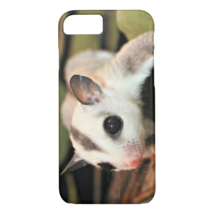 Funda Para iPhone 8/7 Planeador del azúcar