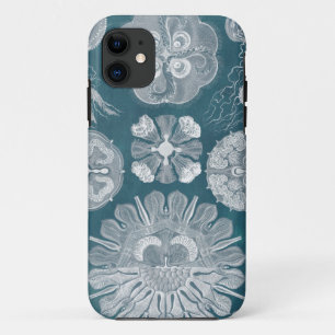 Funda Para iPhone 11 Plano marino IV