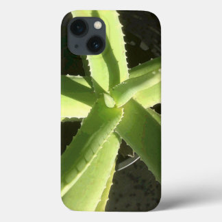 title_seo2 Planta Aloe