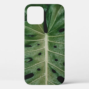 Funda Para iPhone 12 Planta de hoja verde