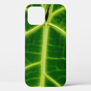 Funda Para iPhone 12 Planta de hojas verdes