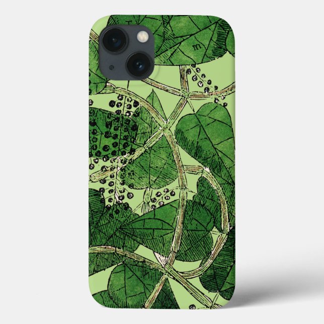 Funda De Case-Mate Para iPhone Planta de la pimienta negra, 1578 (Reverso)