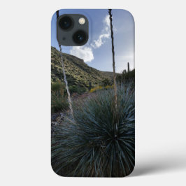 Funda Para iPhone 13 Planta de sotol del suroeste del desierto Imagen p