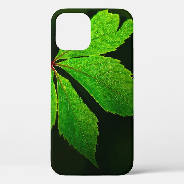 Funda De Case-Mate Para iPhone Planta de textura de patrón de hoja (Reverso )