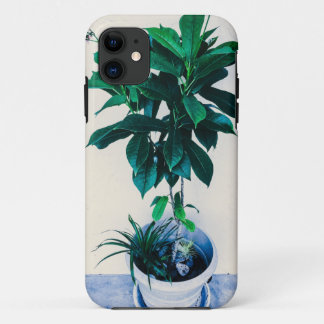 Funda Para iPhone 11 Planta Jatropha en verde natural