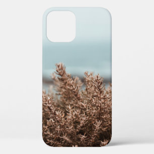 FUNDA PARA iPhone 12 PLANTA MARRÓN EN FOTOGRAFÍA CERRADA