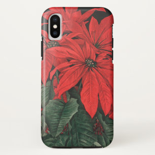 title_seo2 Plantas de Flor de Pascua Roja de Navidad Vintage
