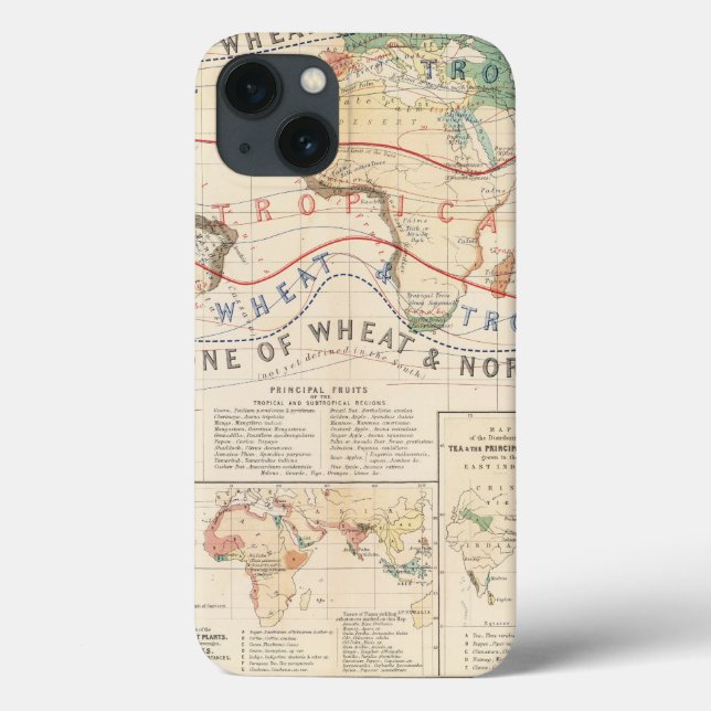 Funda De Case-Mate Para iPhone Plantas de la distribución (Reverso)