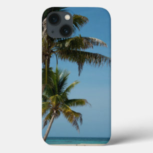 title_seo2 Playa de palmeras y arena blanca