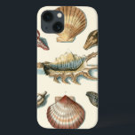 title_seo2 Playa Fancy Shell<br><div class="desc">George Wolfgang Knorr es conocido por el delicado detalle y precisión de sus ilustraciones de conchas y estrellas de mar. Sus dibujos estaban influenciados por su propio interés en la ciencia,  un tema popular de su época.</div>