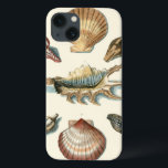 title_seo2 Playa Fancy Shell<br><div class="desc">George Wolfgang Knorr es conocido por el delicado detalle y precisión de sus ilustraciones de conchas y estrellas de mar. Sus dibujos estaban influenciados por su propio interés en la ciencia, un tema popular de su época.</div>
